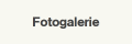 Fotogalerie